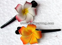 Hawaiian Hair Clips