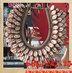 Sea Shell Costume Jewellery Bali