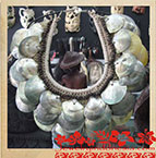 Bsn8-2 Shell Necklaces Bali 