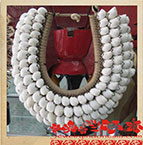 Bsn8-5 Sea Shell Necklaces Bali