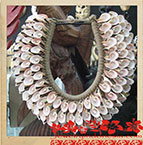 Bsn8-6 Sea Shell Jewellery Bali