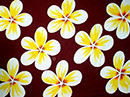 Batik Sarong Handpainting