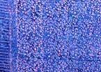 Stmp5 1 Batik Fabric Bali