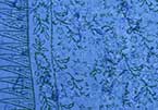 Stmp5 10 Batik Bali Sarongs